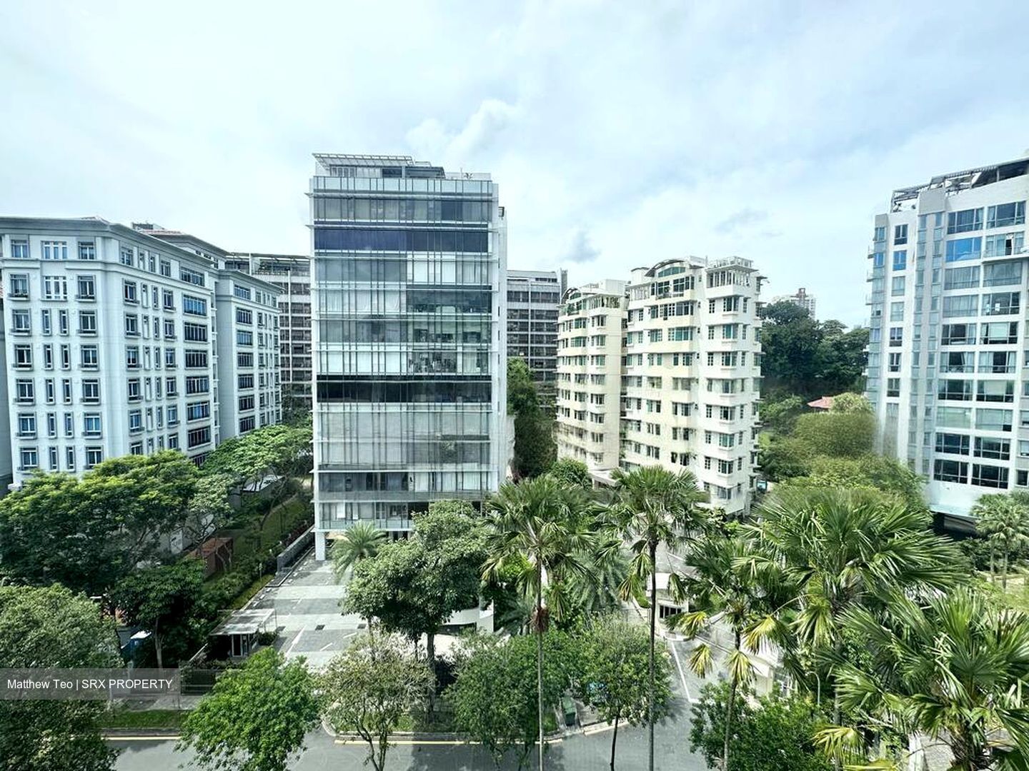 The Balmoral Spring (D10), Apartment #480363981